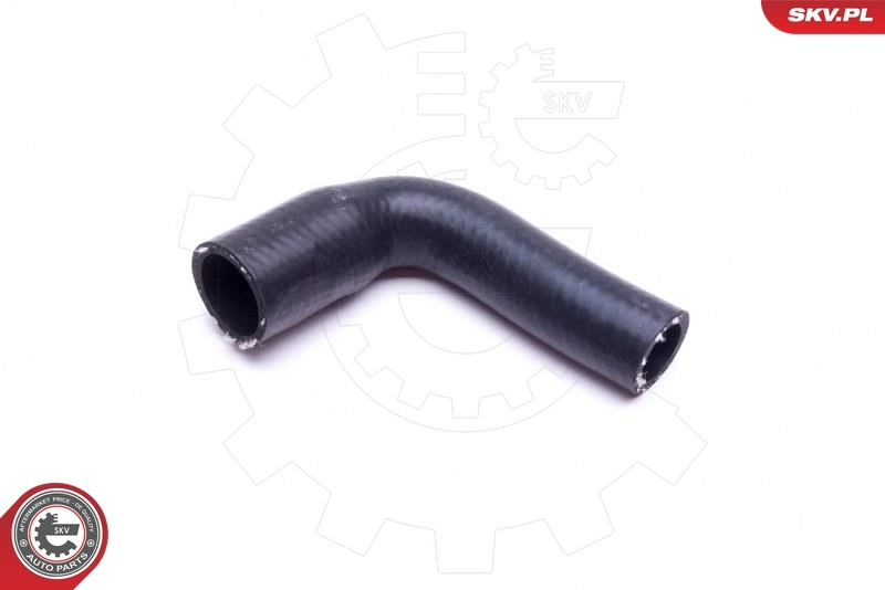 Radiator Hose 43SKV861