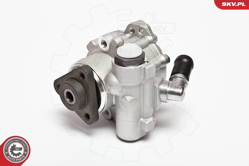 Hydraulic Pump, steering 10SKV015