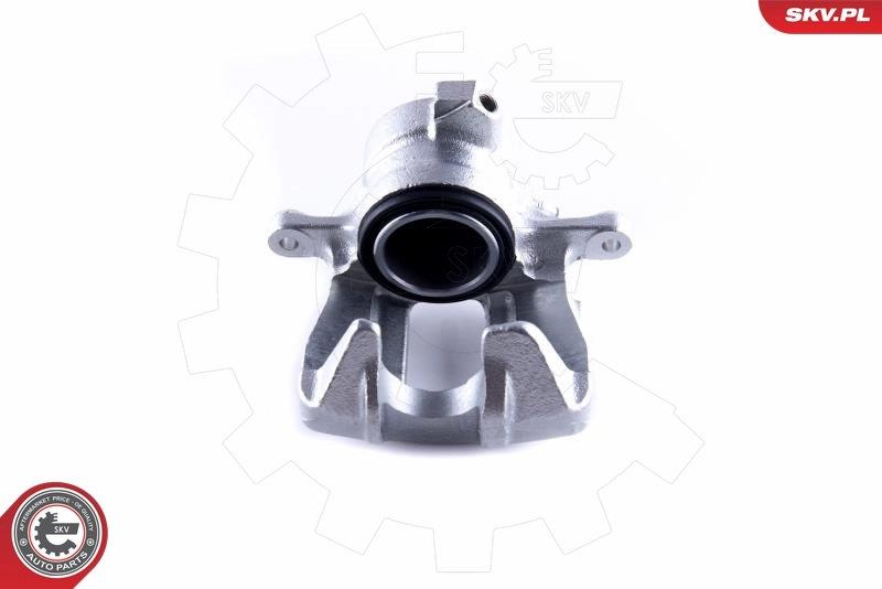 Brake Caliper 55SKV132