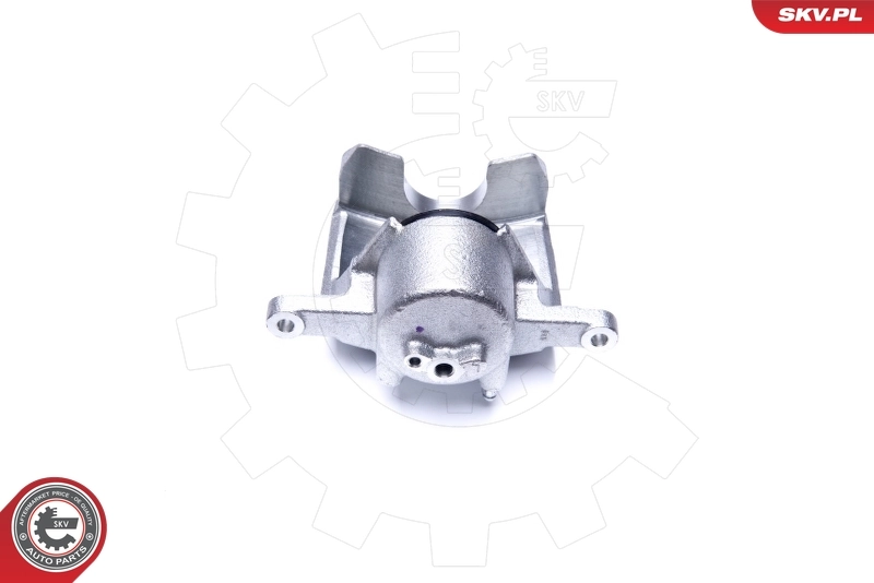 Brake Caliper 44SKV861