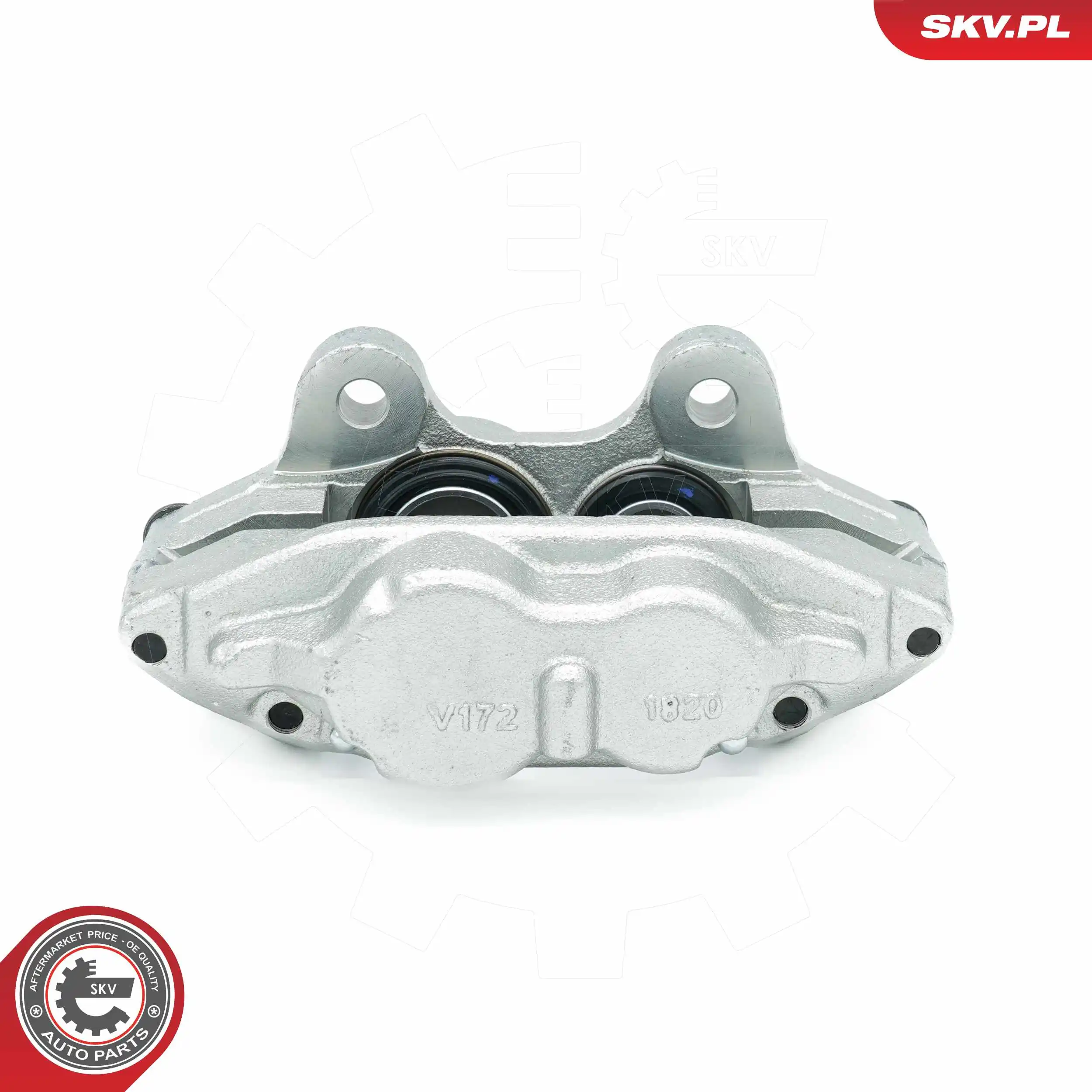 Brake Caliper 46SKV332
