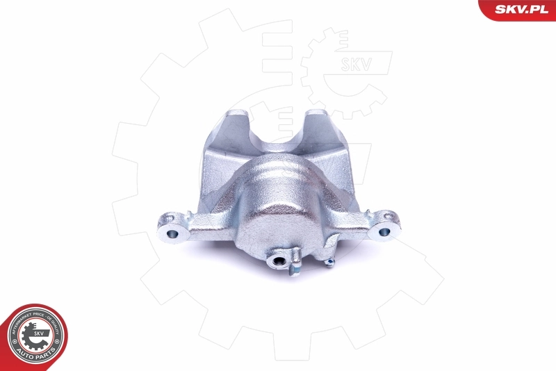 Brake Caliper 42SKV691