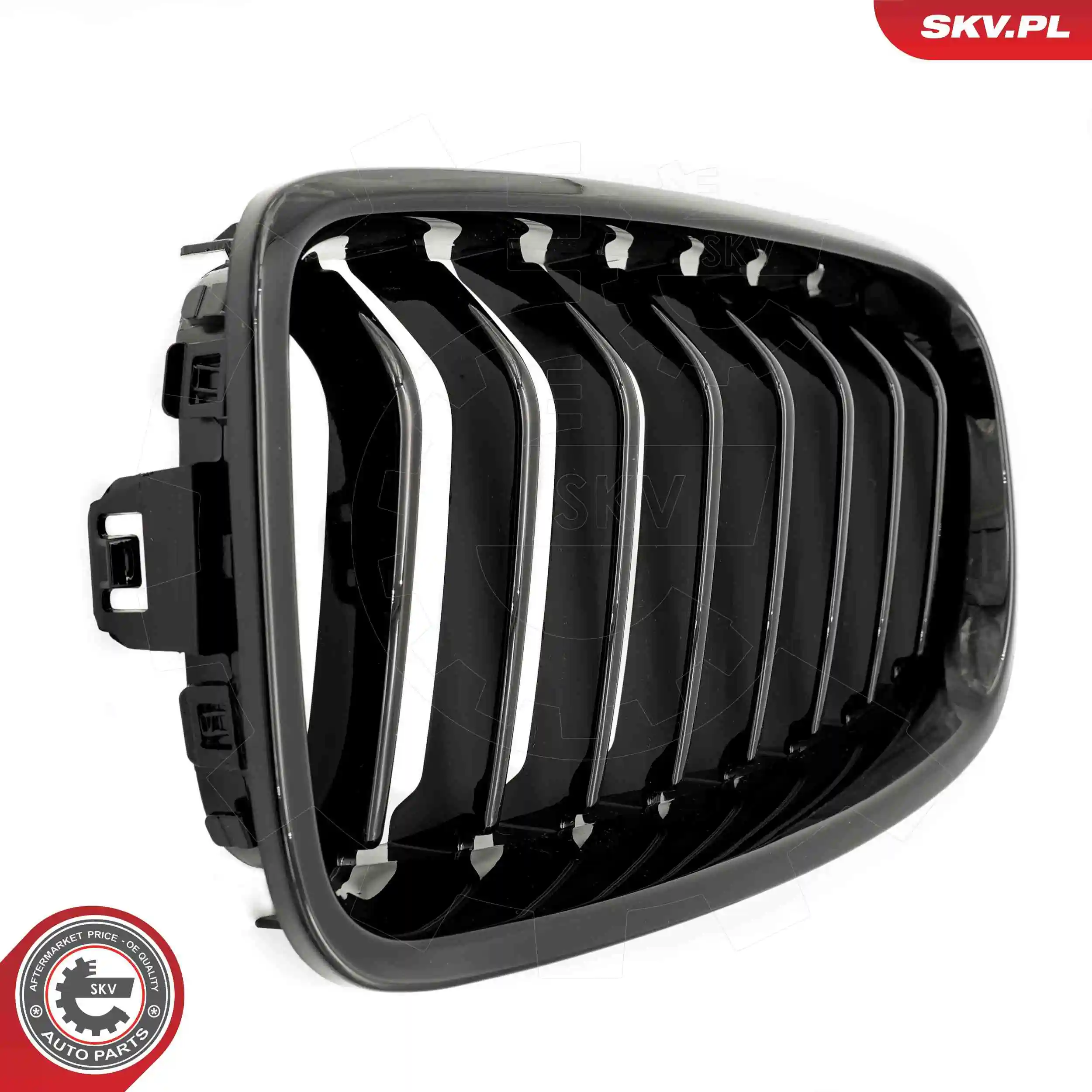Radiator Grille 66SKV120