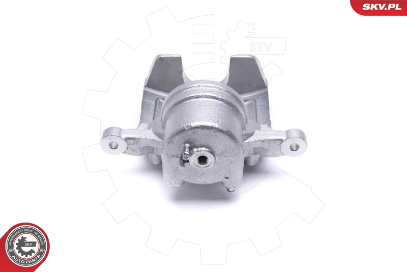 Brake Caliper 46SKV832