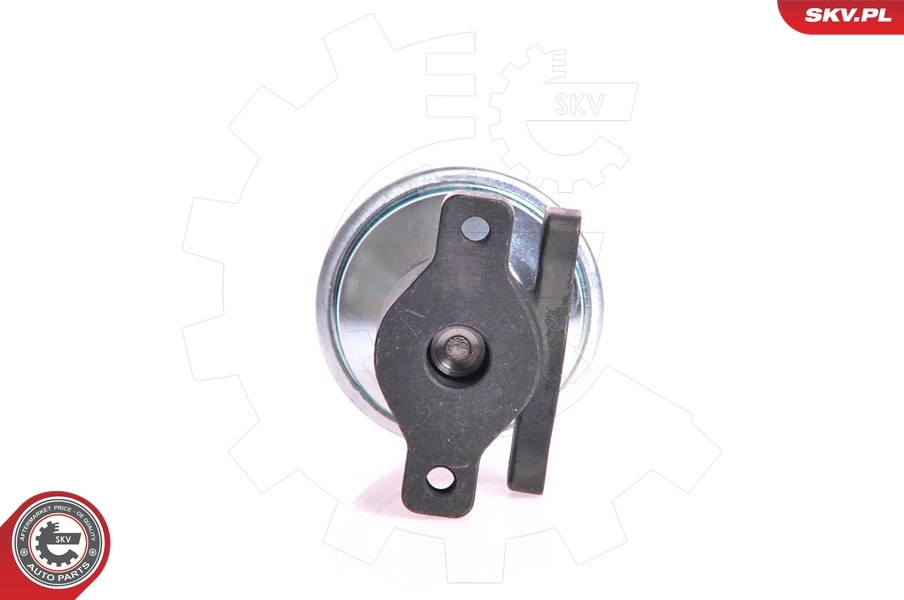 EGR Valve 14SKV005