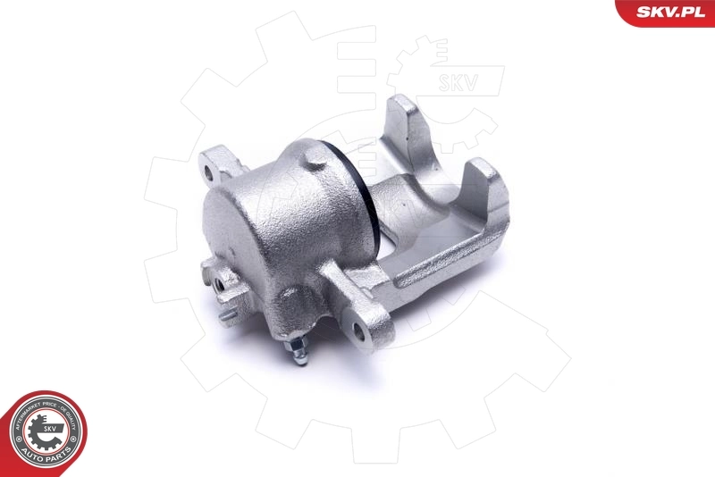 Brake Caliper 56SKV011