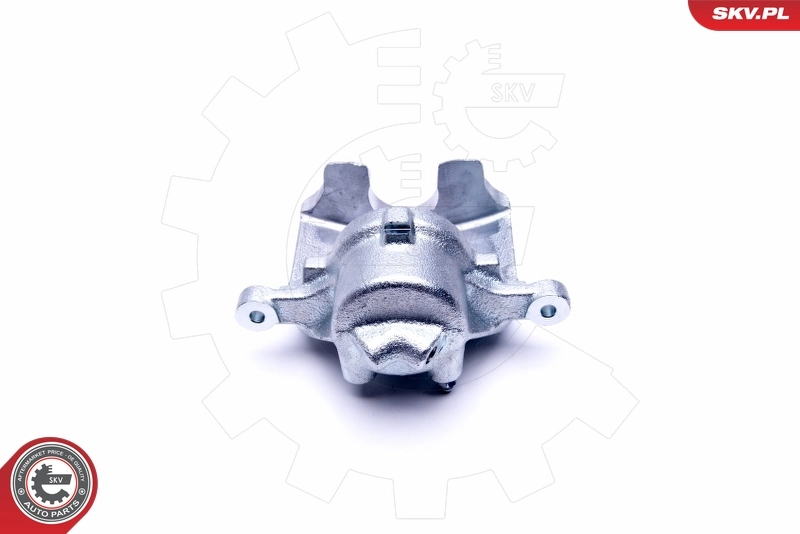 Brake Caliper 46SKV062