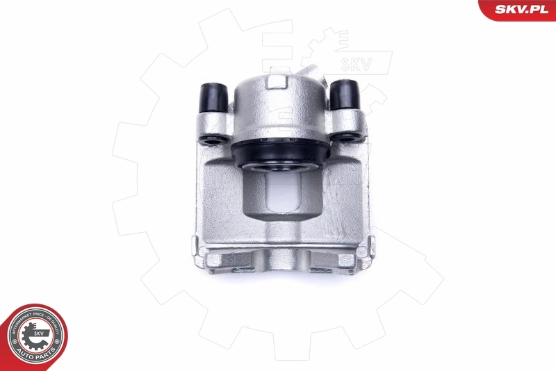 Brake Caliper 55SKV822