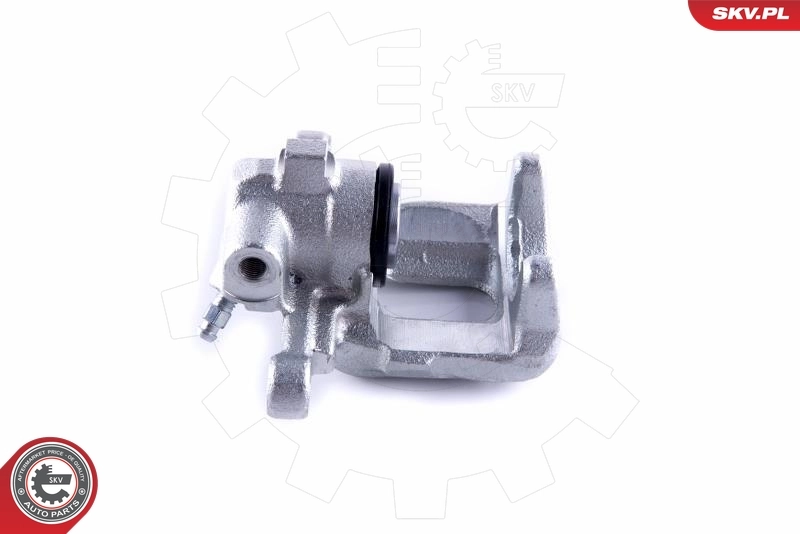 Brake Caliper 55SKV234