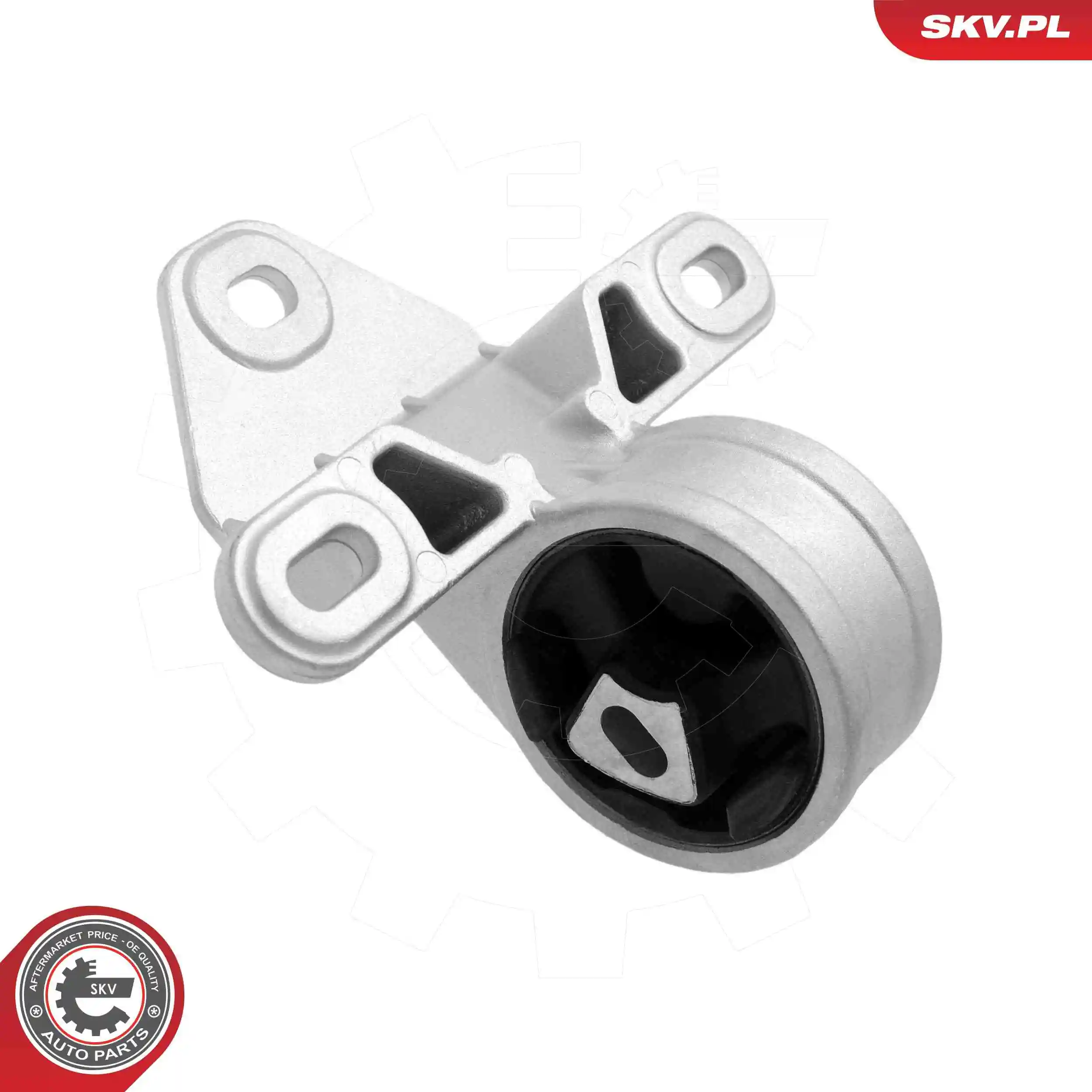 Mounting, engine 75SKV020