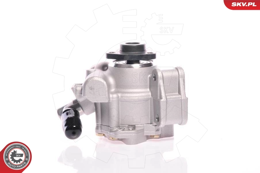 Hydraulic Pump, steering 10SKV148