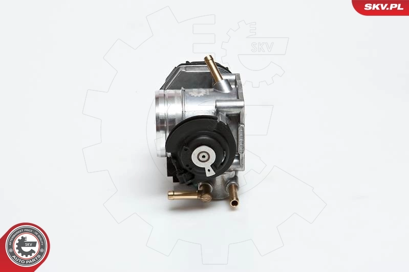 Throttle Body 12SKV036