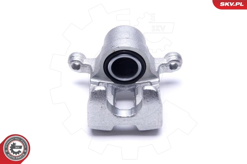 ESEN SKV 55SKV484 Brake Caliper