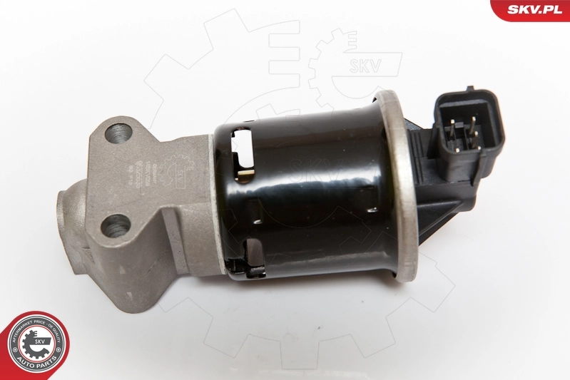 EGR Valve 14SKV059