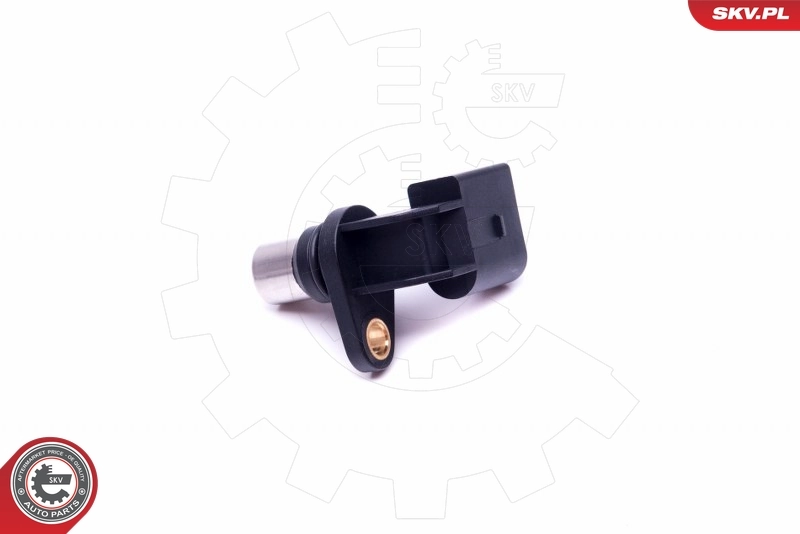 Sensor, camshaft position 17SKV489