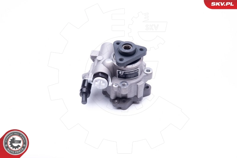 Hydraulic Pump, steering 10SKV242