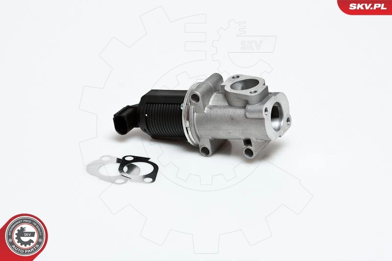 EGR Valve 14SKV006
