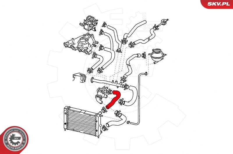 ESEN SKV 43SKV717 Radiator Hose