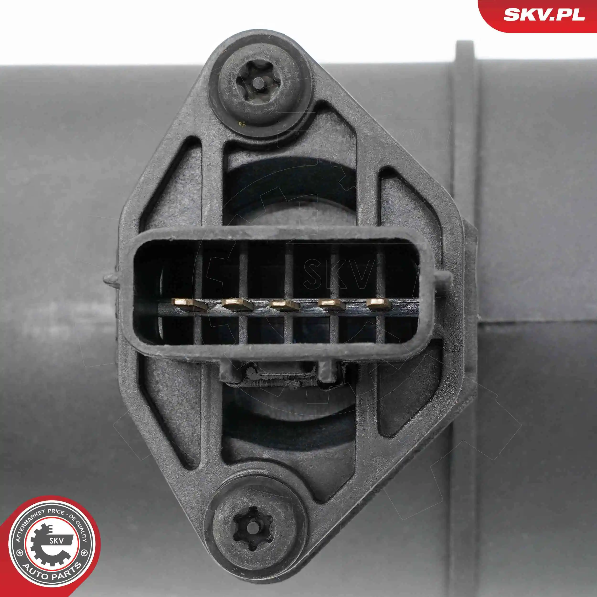 Mass Air Flow Sensor 07SKV318