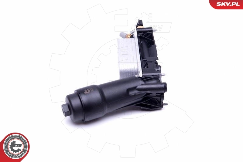 Oil Cooler, engine oil 31SKV172