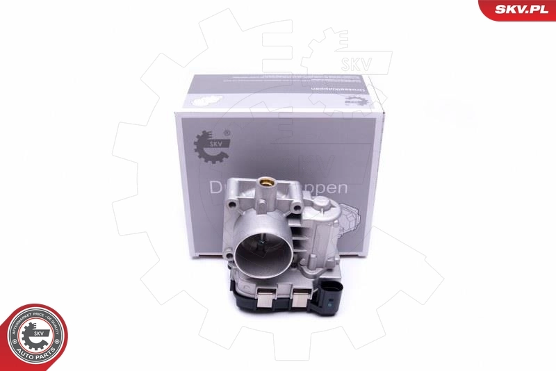 Throttle Body 12SKV077