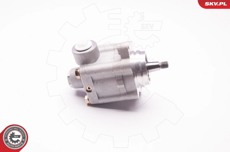 ESEN SKV 1SKV0008 Hydraulic Pump, steering