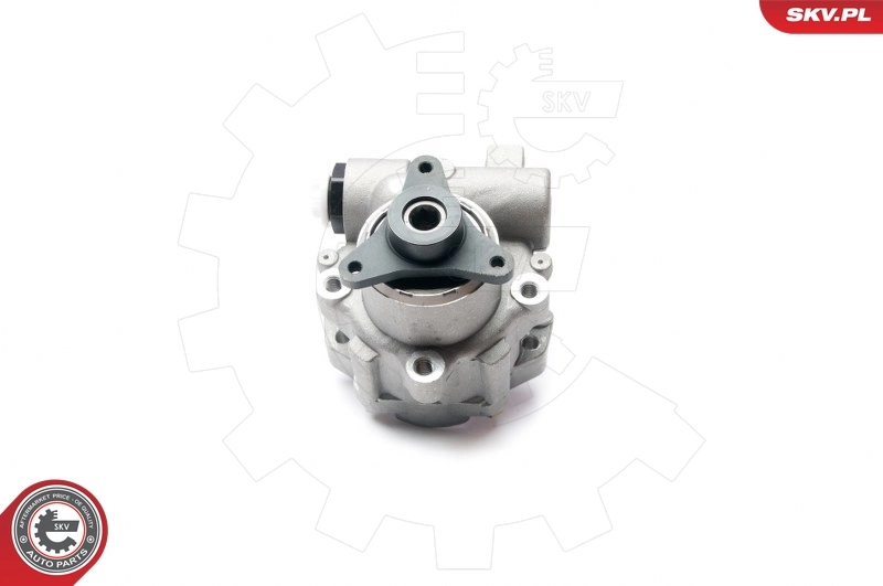 Hydraulic Pump, steering 10SKV199