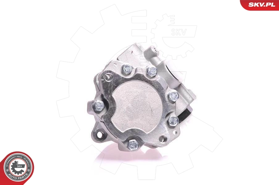 Hydraulic Pump, steering 10SKV121