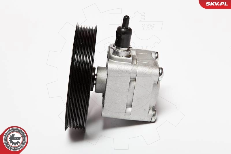 Hydraulic Pump, steering 10SKV074