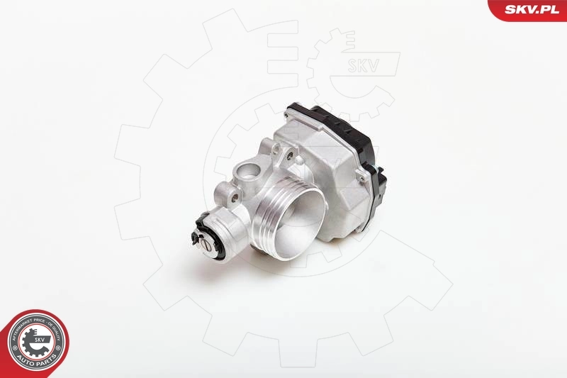 Throttle Body 12SKV031