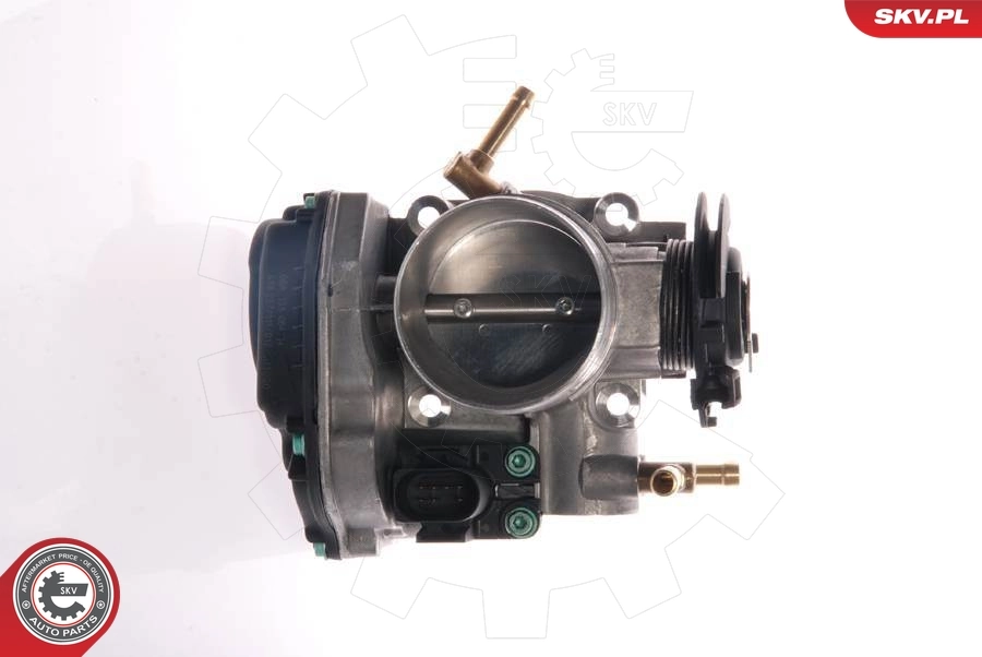 Throttle Body 12SKV025