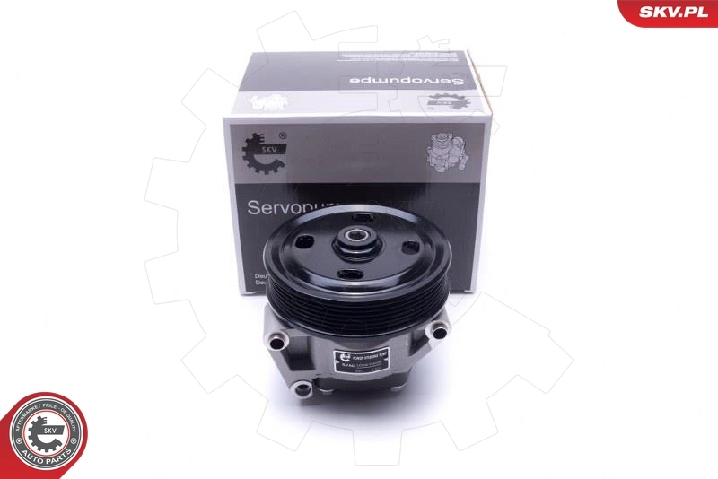 Hydraulic Pump, steering 10SKV309