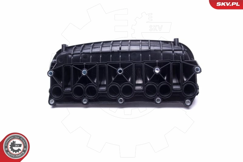 Intake Manifold Module 49SKV066