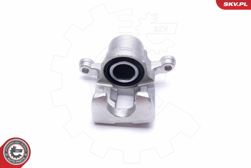 Brake Caliper 23SKV703