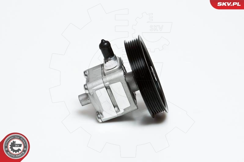 Hydraulic Pump, steering 10SKV028