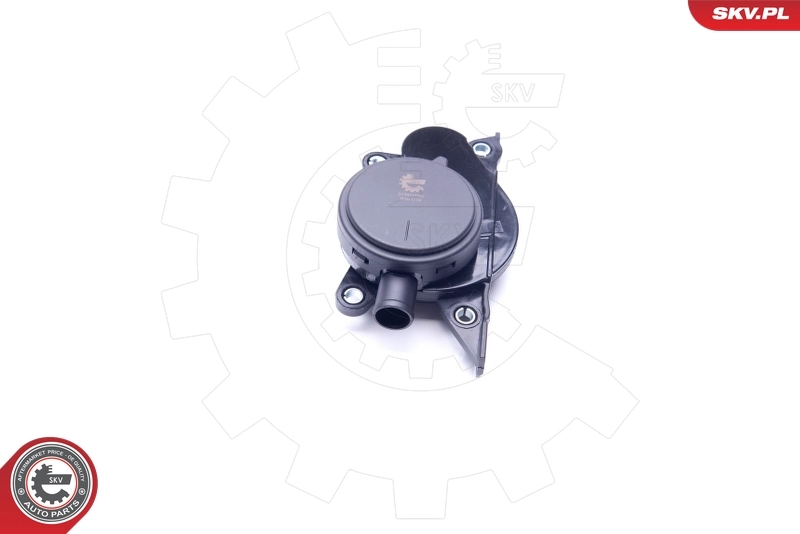 ESEN SKV 31SKV060 Oil Separator, crankcase ventilation