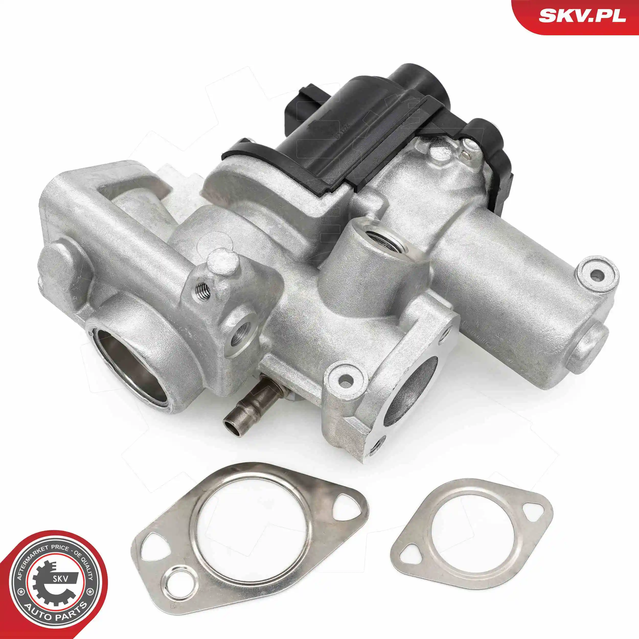 EGR Valve 14SKV253
