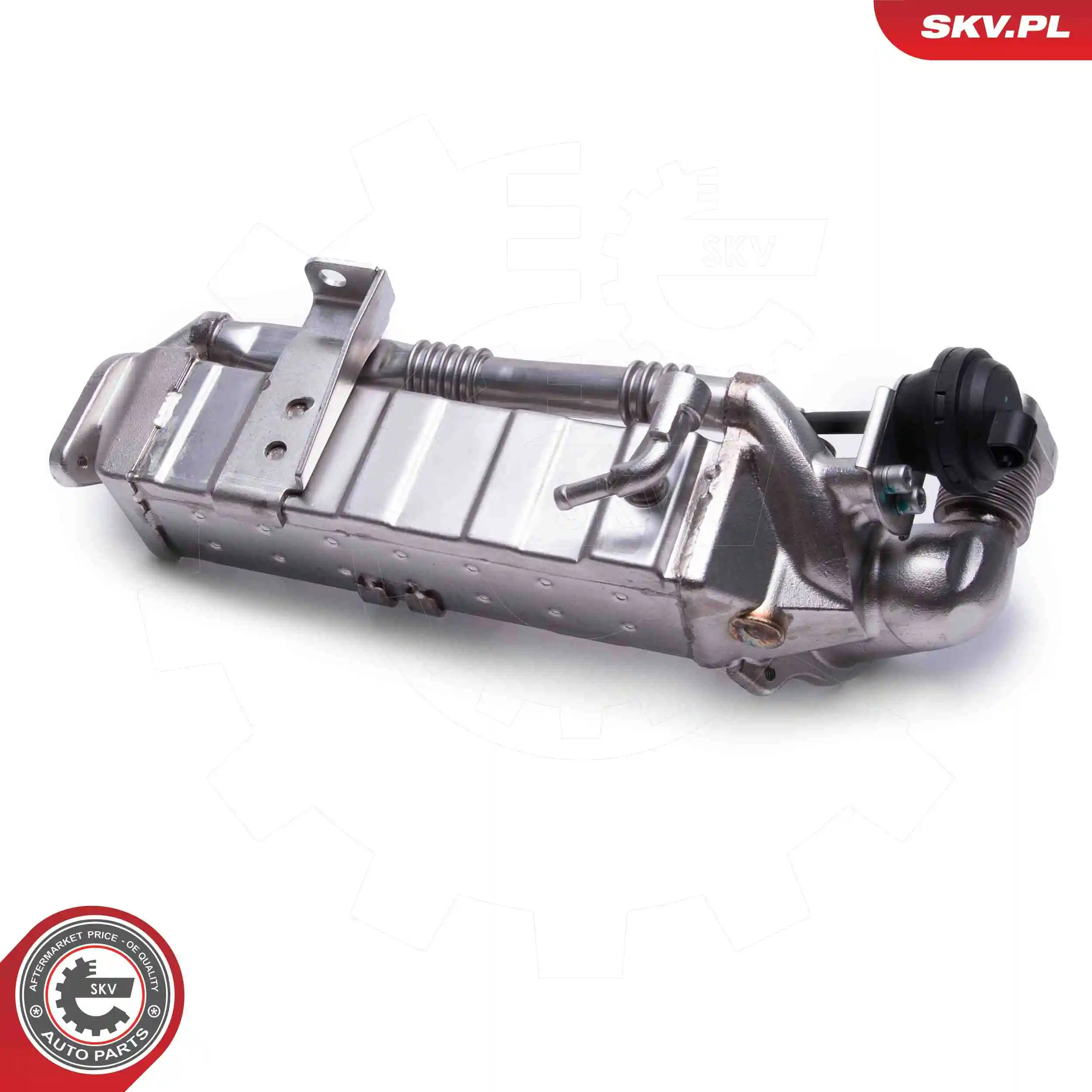 EGR Valve 14SKV239