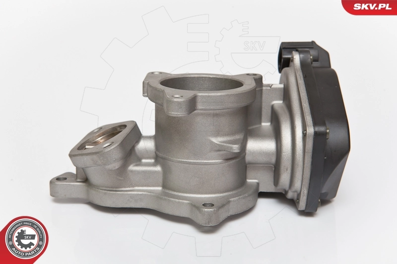 EGR Valve 14SKV083