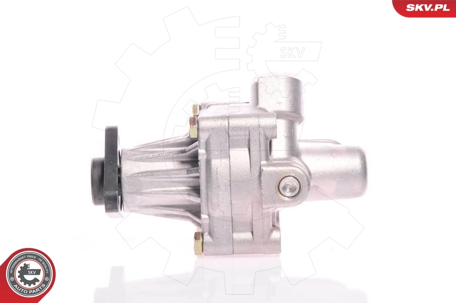 Hydraulic Pump, steering 10SKV011