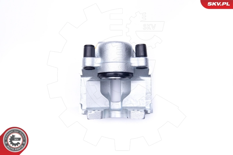 Тормозной суппорт 42SKV163