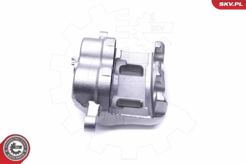 Brake Caliper 46SKV622