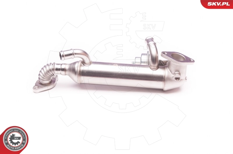 EGR Valve 14SKV119