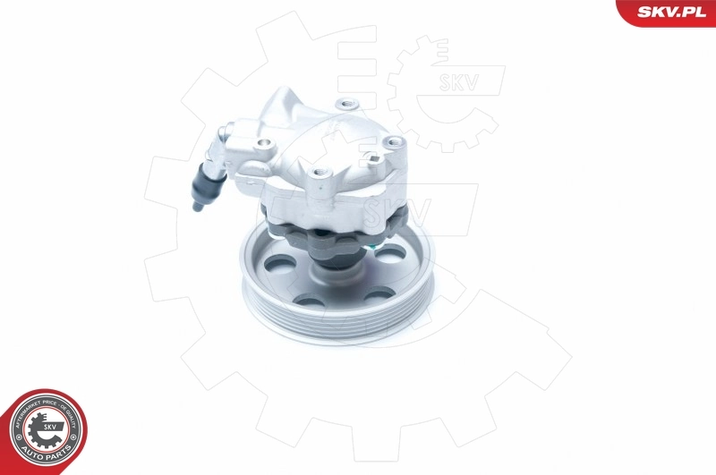 Hydraulic Pump, steering 10SKV185