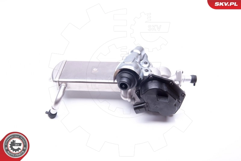EGR Valve 14SKV152