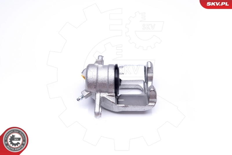 Brake Caliper 42SKV301