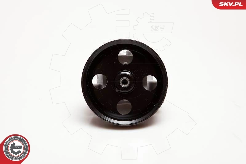 Hydraulic Pump, steering 10SKV050