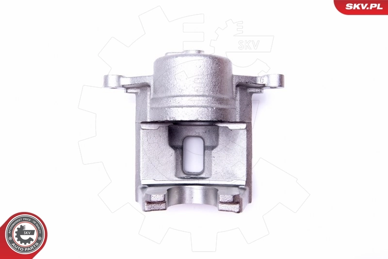 Brake Caliper 45SKV722