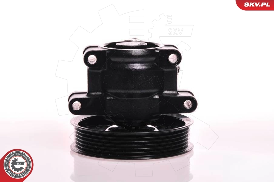 Hydraulic Pump, steering 10SKV019