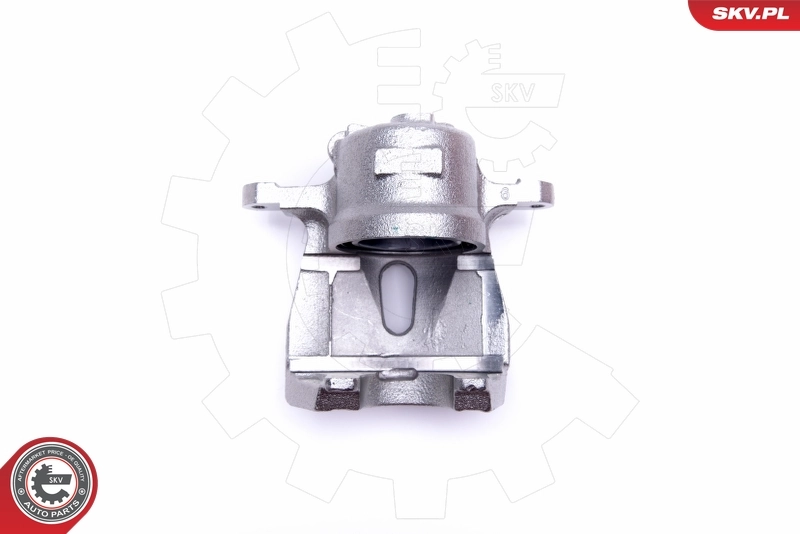 Brake Caliper 45SKV811